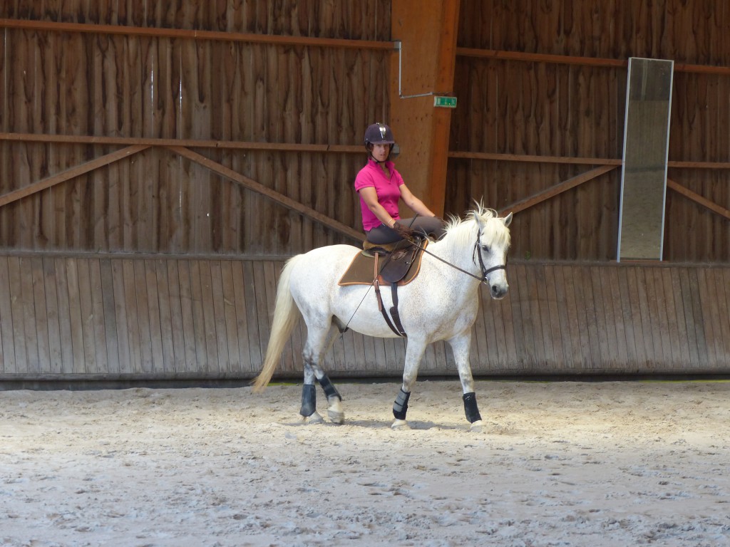 Stéphanie et son cheval Queros